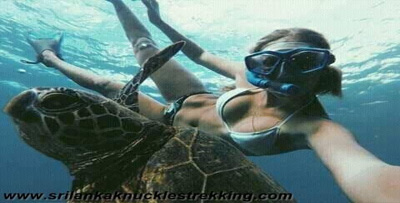 diving snorkeling