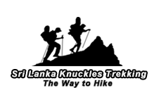Sri Lanka Knuckles Trekking Kandy – Adventure Hiking and Nature Walking in Sri Lanka